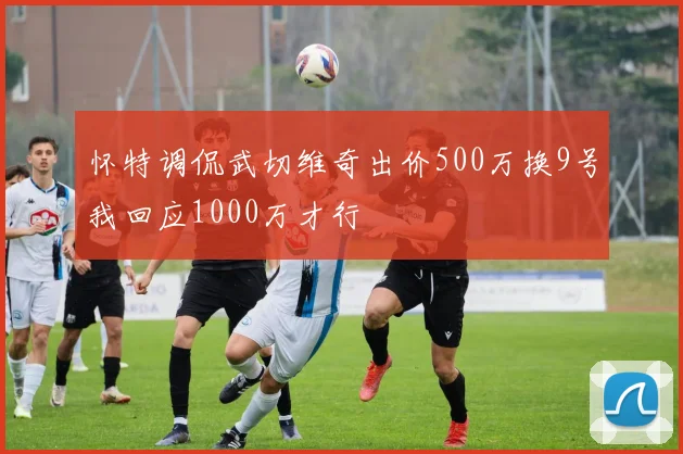 怀特调侃武切维奇出价500万换9号我回应1000万才行