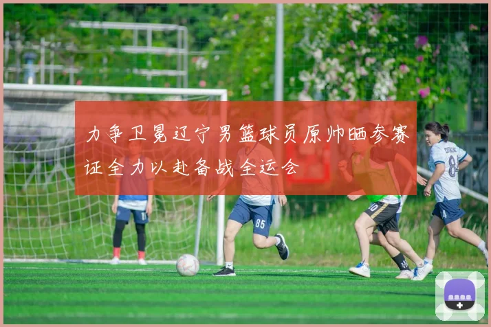 力争卫冕辽宁男篮球员原帅晒参赛证全力以赴备战全运会