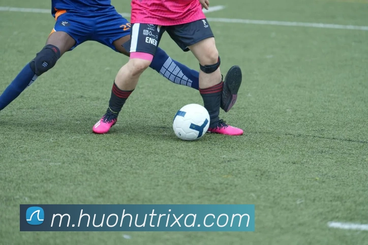 火狐体育平台生态图